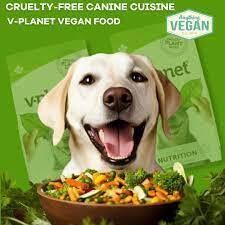 Cover image for Organic Dog Food Dubai