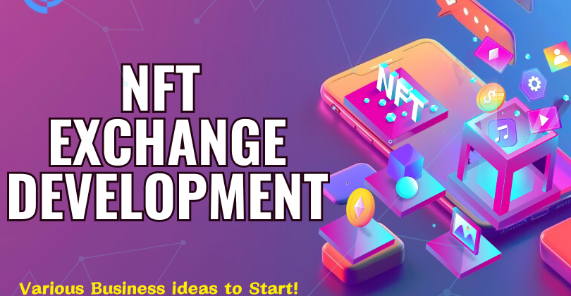 Cover image for Diverse NFT Exchange Development Services for Startup Success