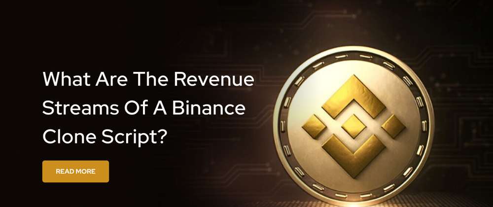 Cover image for What Are The Revenue Streams of a Binance Clone Script