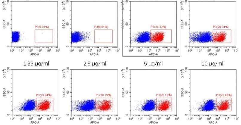 Cover image for Anti-Chimeric Antigen Receptor Linker Antibodies for Streamlined CAR Detection